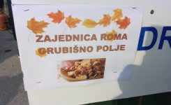 Zajednica Roma Grubišno Polje