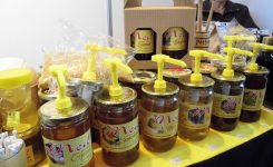 Pčelarstvo Balint